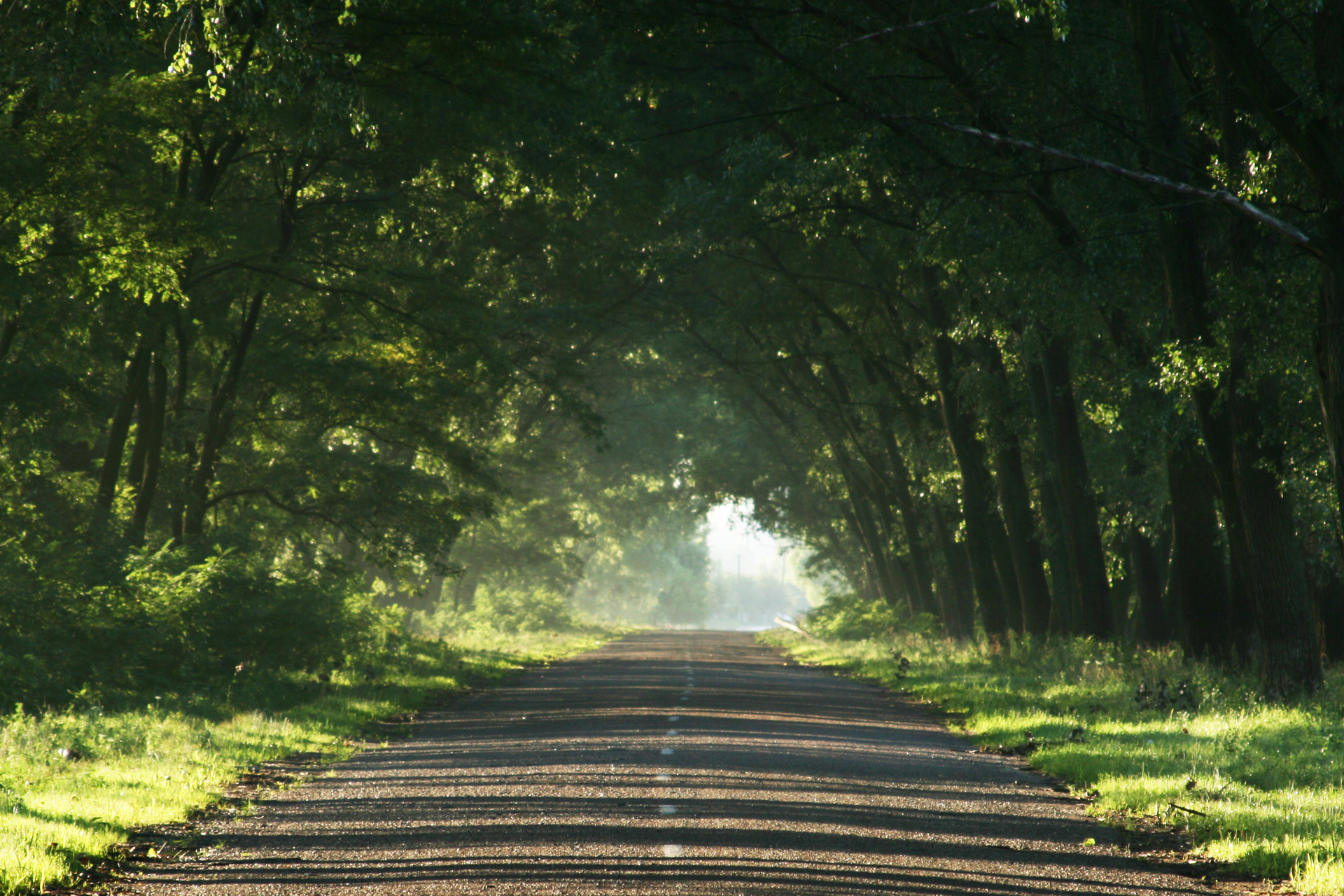 road and light